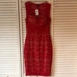 Windsor Red/Nude Lace Dress